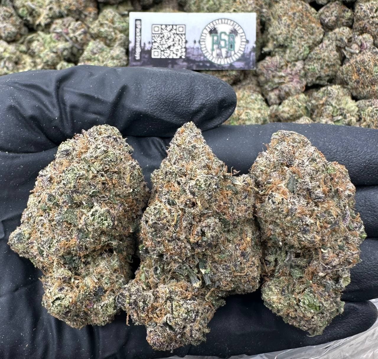 BLUEBERRY GUM POWDER