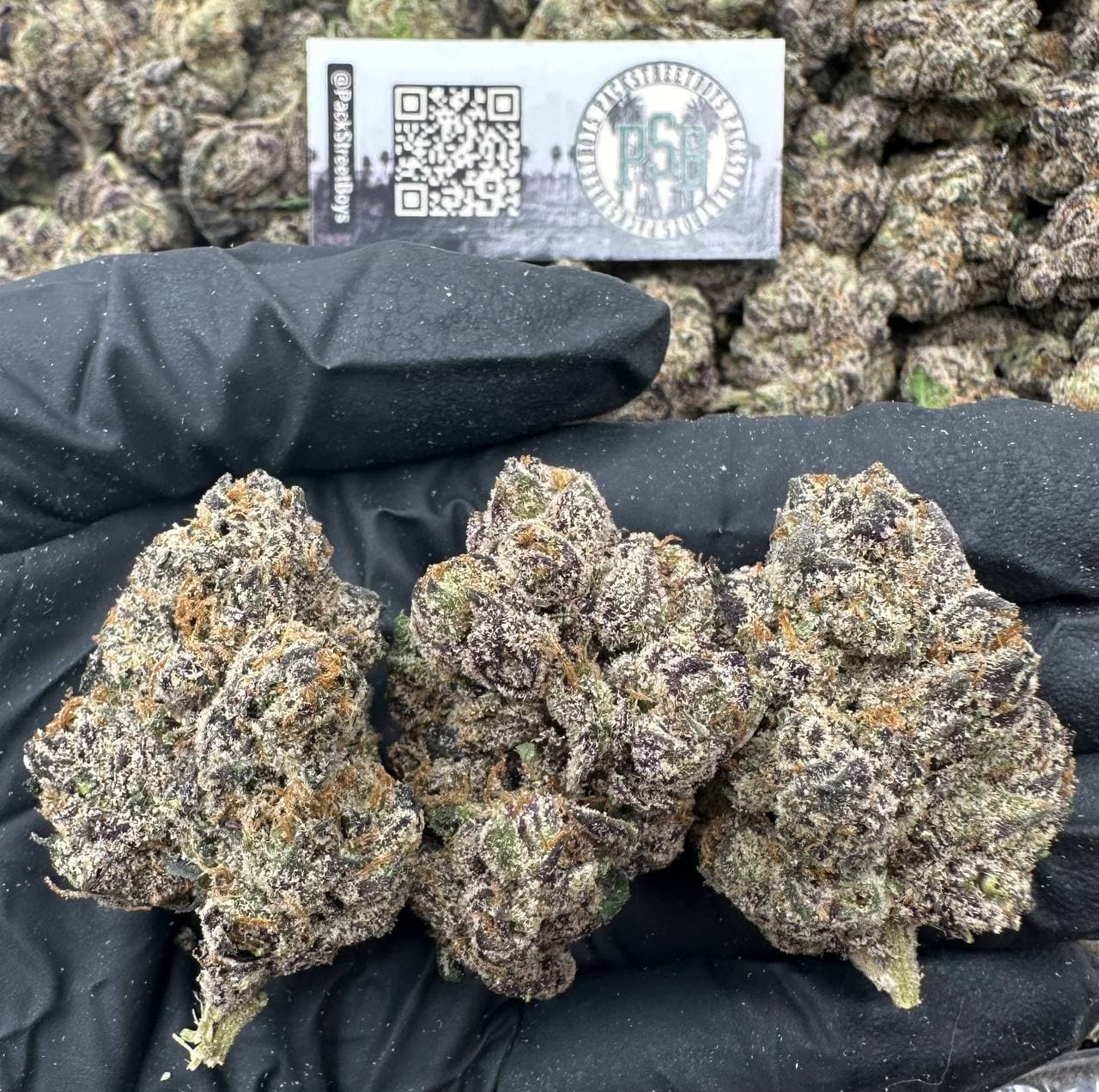 BLUEBERRY YUM YUM