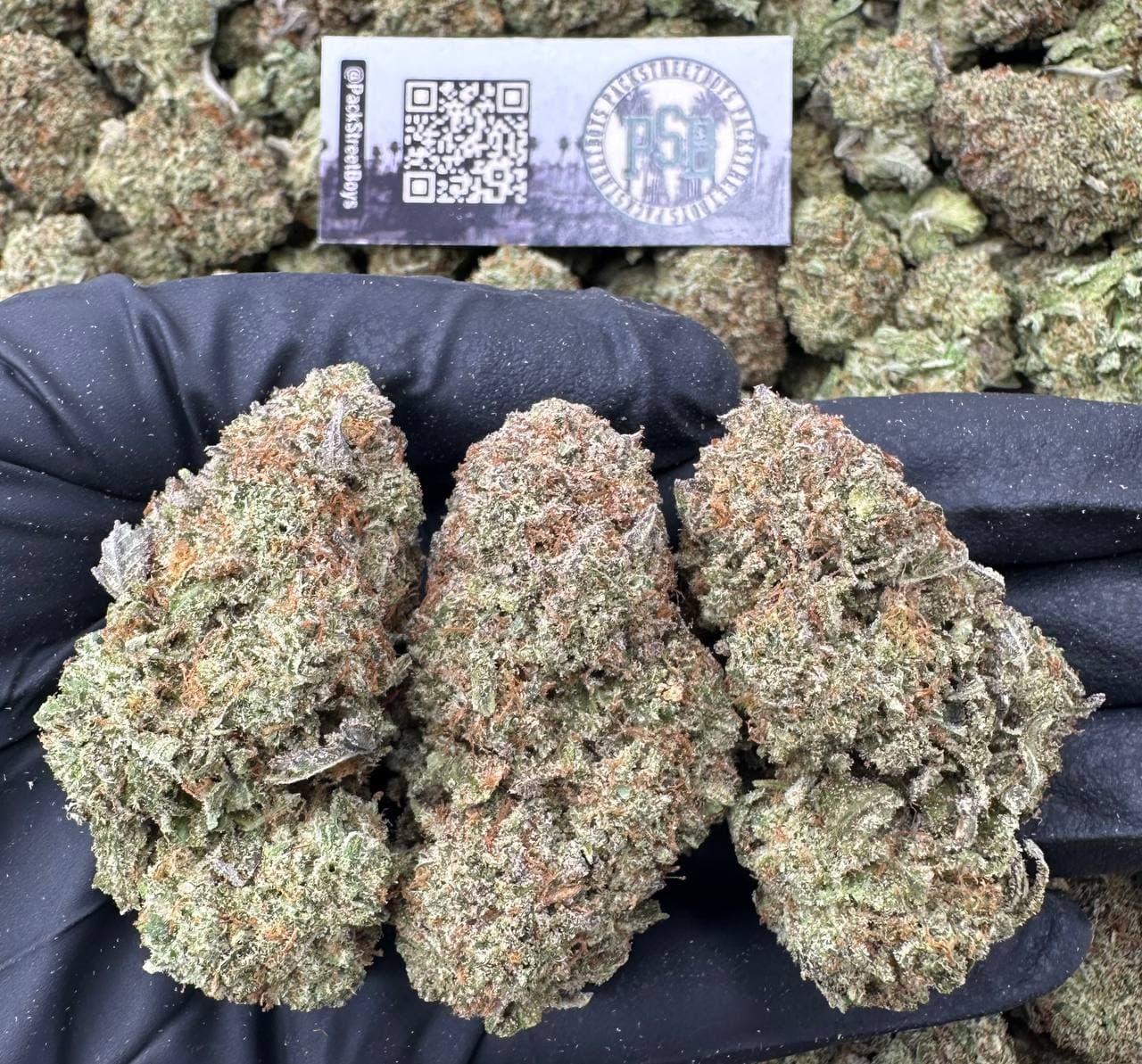 DANK BUBBAS